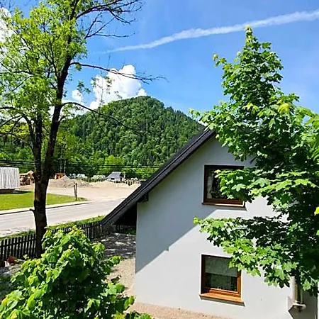 Jarmuta *